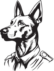 police belgian malinois dog