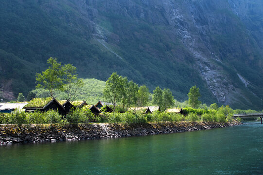 Roofs of houses covered with grass in a village in a fjord valley in Norway