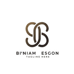Luxury BS Monogram Logo