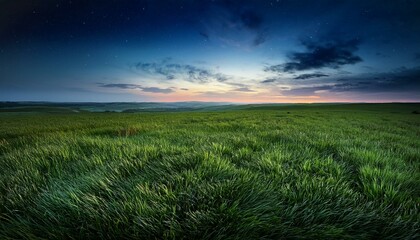 【背景素材】美しい緑の草原と夜の風景