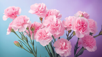 母の日のピンク色のカーネーション