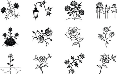 Black and White Rose Illustrations Garden, Fence, Lamp, Vines