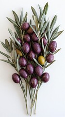 Kalamata Olives and Olive Branches Still Life