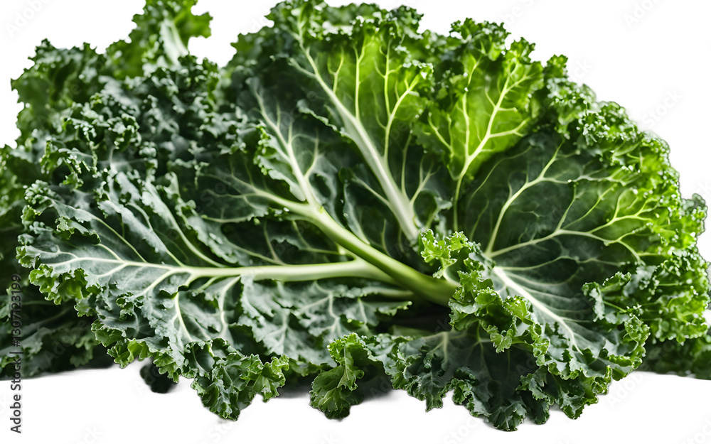 Poster a fresh bunch of kale leaves, isolated on a empty plain background