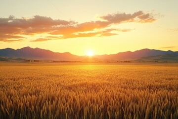 Golden wheat field at sunset with mountains in the distance, clouds overhead, and warm hues of orange and yellow creating a tranquil atmosphere.