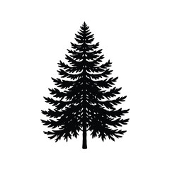 A pine tree silhouette on white background