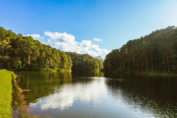 Beautiful destination nature lake and forest of Pang Oung lake and pine forest in Mae Hong Son, Thailand. Nature landscape. Environmental friendly outdoor activity and camping surrounded by valley.
