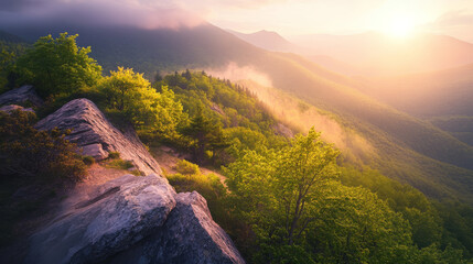 Scenic mountain landscape with misty peaks, dense forest, and golden sunrise. A tranquil nature scene perfect for travel, adventure, and relaxation.

