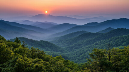 Scenic mountain landscape with misty peaks, dense forest, and golden sunrise. A tranquil nature scene perfect for travel, adventure, and relaxation.

