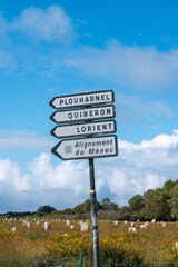 Obraz premium The Stone Alignments of Ménec: A Journey Through Neolithic Brittany, France