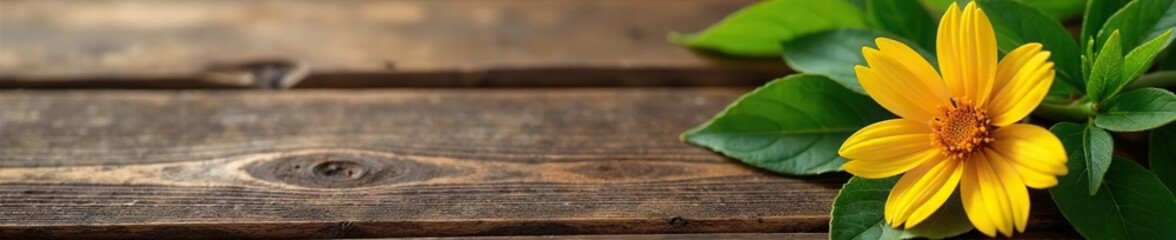 Fototapeta premium Green and brown flower on a wooden surface with natural texture, rustic, earthy