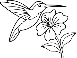 Obraz premium SVG vector features hand-drawn birds and insects with line art. Hummingbird in Flight Near Colorful Flower with Leaves