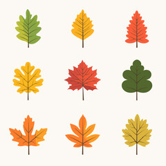 Nine colorful autumnal leaves on white background for seasonal designs