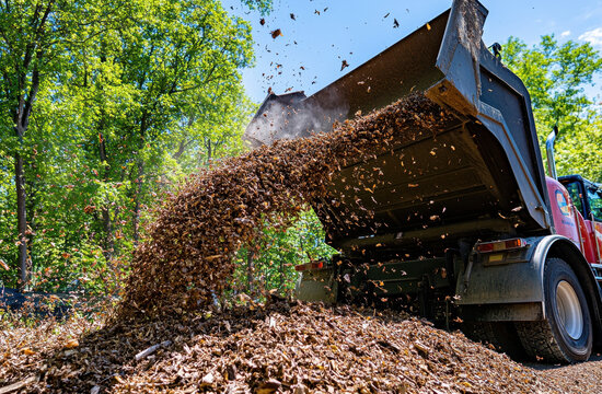 Large tree chipper truck empties a load of branches in a wooded area, creating a pile of mulch under bright sunlight