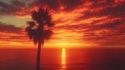 Silhouette of a lone palm tree against a fiery sunset sky, vibrant orange and red hues reflecting on the calm ocean, peaceful tropical vibe, ultra-detailed, 4K.