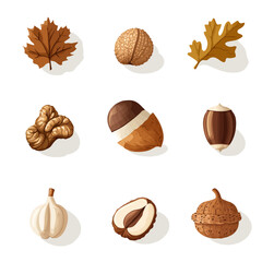 Cartoon still life of autumn leaves and assorted edible nuts species
