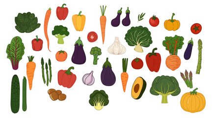 vegetables hand draw illustration set	