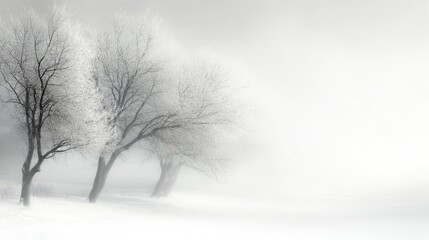 Soft gradient with grey and white hues, blending gently, creating a serene and ethereal aesthetic