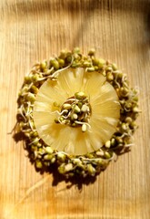 vitamin shot! Mung beans, garden cress, pineapple and mandarins