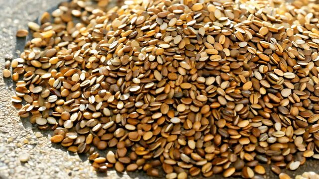 Vibrant macro video, slow pan, bright natural light, tiny, glistening sesame seeds, black cumin seeds, textural, chromatic dance, light stone surface