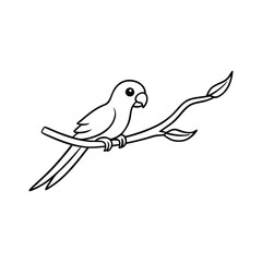 Parakeet seat Tree Branch – Line Art Vector Illustration.