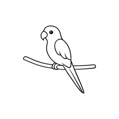 Parakeet Set on the Branch – Vector Illustration, Line Art