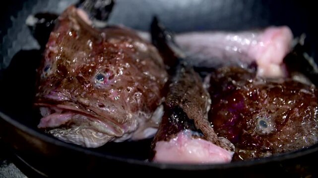 Trimmed sea raven to put in a pot