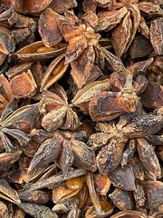 CloseUp of Star Anise Spice, highlighting its rich flavor and aromatic characteristics