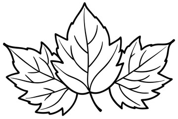 Autumn Leaves Line Art Illustration – Minimal Fall Foliage Design

