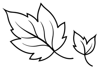 Autumn Leaves Line Art Illustration – Minimal Fall Foliage Design

