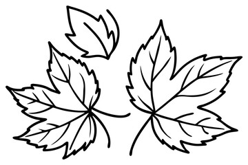 Autumn Leaves Line Art Illustration – Minimal Fall Foliage Design

