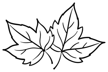 Autumn Leaves Line Art Illustration – Minimal Fall Foliage Design


