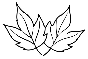 Autumn Leaves Line Art Illustration – Minimal Fall Foliage Design

