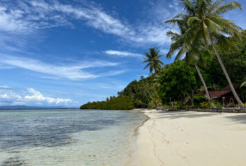 Serene Tropical Beach with Palm Trees and Clear Blue Waters