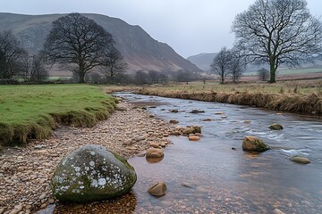 River flows through field toward mountain