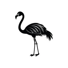 flamingo silhouette  on white background.