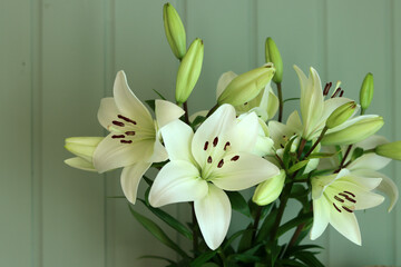 Bouquet of white lilies on a green wall background.