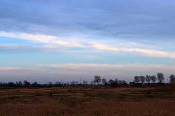 Obraz premium Sunset over the field with blue sky and white clouds in the background