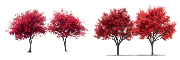 Set of a Two red trees, isolated on transparent background.