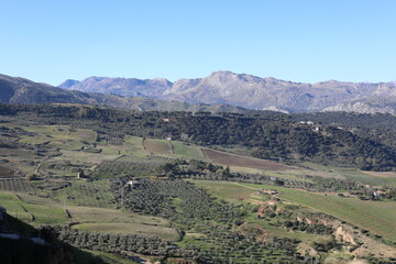 view of the valley from the hill