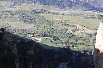 view of the valley of olive trees