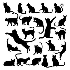 set of cat vector silhouette