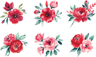 Hand painted watercolor botanical flower. Watercolor vector red flower illustration isolated on white background. 