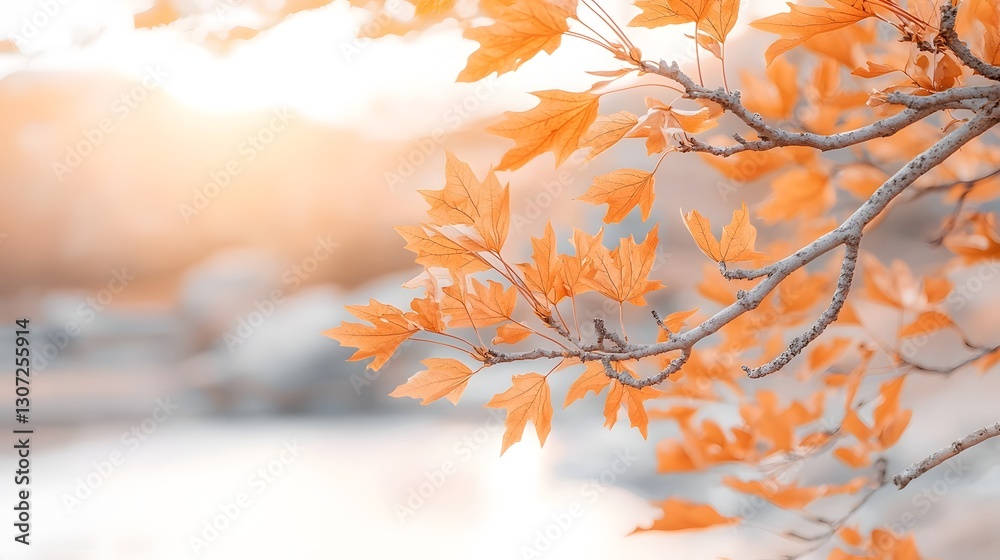 Aufkleber an autumnal vista with radiant golden light streaming through branches creating a warm and ethereal 