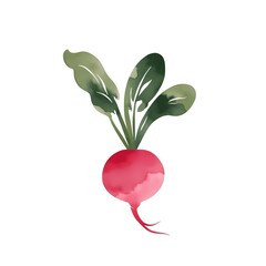 Bright red radish with green leaves on a plain background showcasing fresh produce