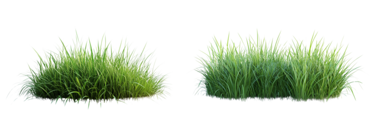 Set of a flat green grass field , isolated on transparent background.