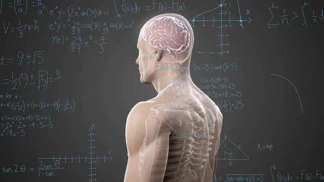 Animation of human anatomy with mathematical equations overlaying school diagrams