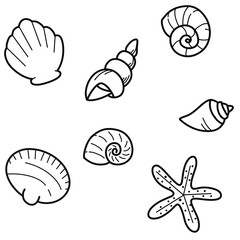 Minimalist icon illustration of sea shells and starfish on transparent background
