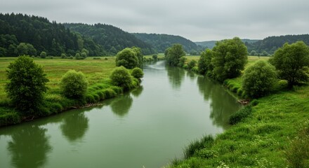 Serene river flowing through lush green landscape under cloudy sky