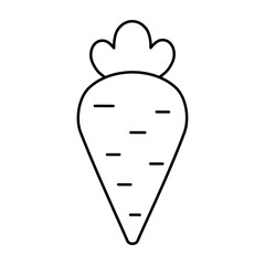 Carrot in simple cartoon contour doodle style isolated vector illustration. Black and white vegetable icon or logo. Farm produce drawing clipart element. Farmers market or grocery store produce.